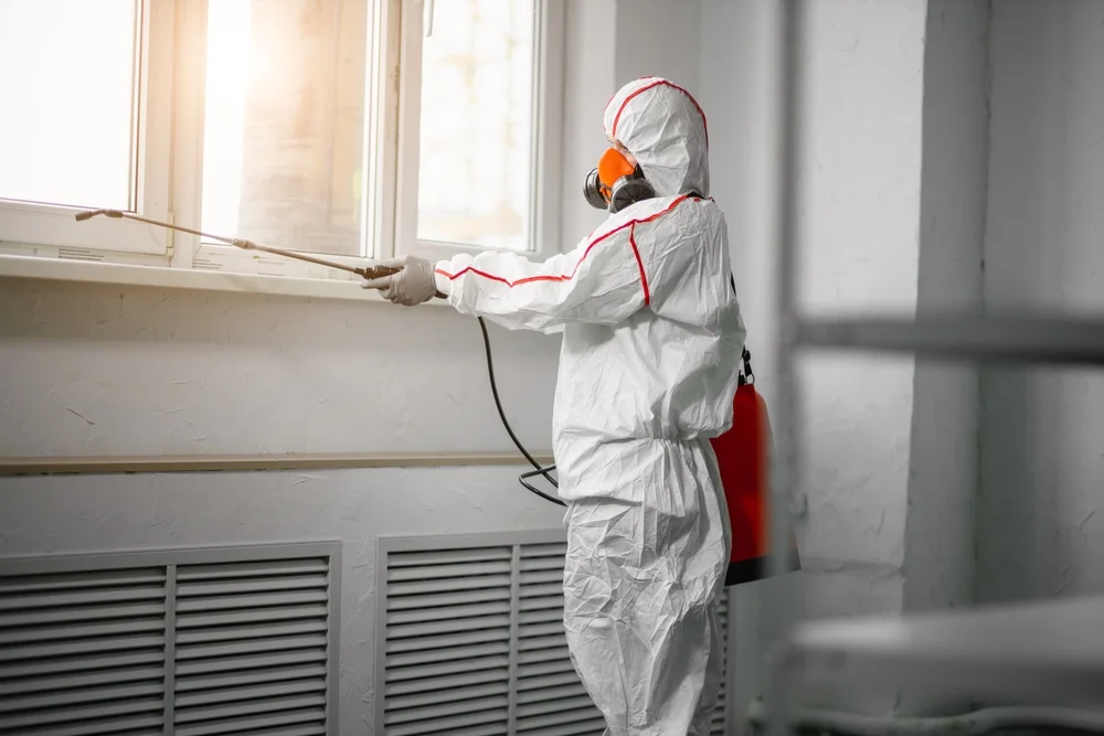 Professional mold remediation services in Colgate, WI
